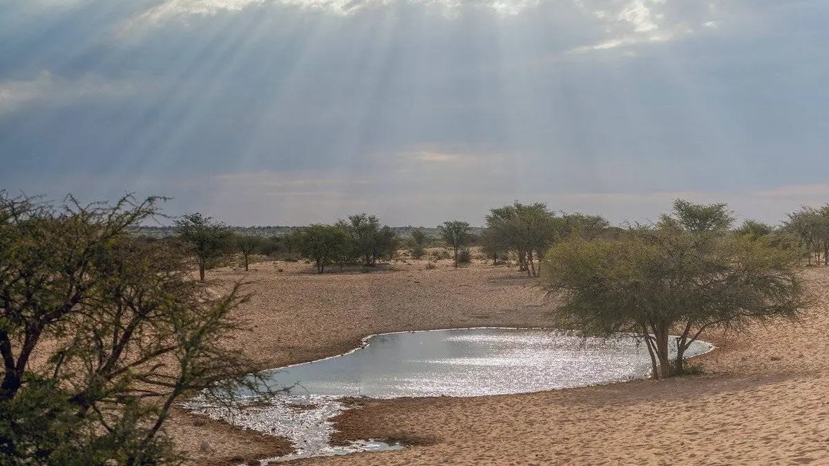 Épisodes de Les nouveaux mondes sauvages