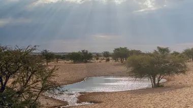 Afrique du Sud : le nouveau départ de Tswalu