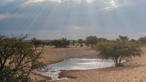 Les nouveaux mondes sauvages