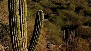 Le Mexique, un désert entre deux mers