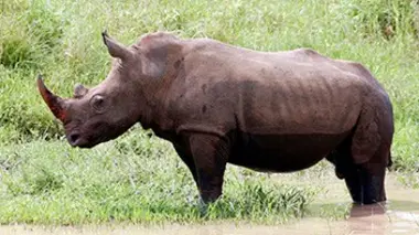 L'Afrique du Sud, une terre en arc-en-ciel