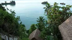 Visuel de Les nouveaux paradis