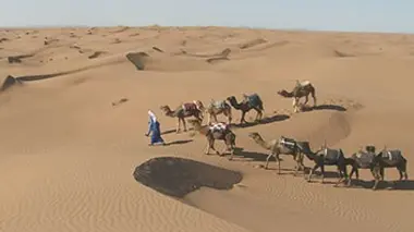 Maroc, la magie du Grand Sud