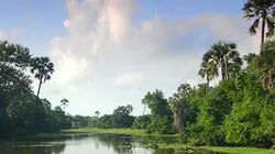Visuel de Les nouveaux paradis