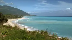 Visuel de Les nouveaux paradis