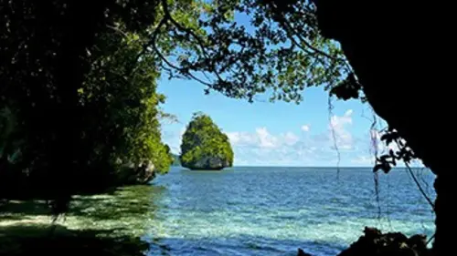 Les nouveaux paradis Palau, la république de corail