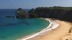 Visuel de Les nouveaux paradis