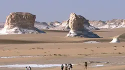 Visuel de Les nouveaux paradis