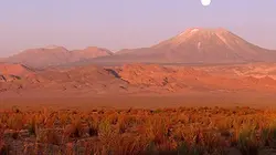 Sur Ushuaïa TV à 20h40 : Les nouveaux paradis