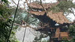 Visuel de Les nouveaux paradis
