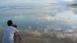 Visuel de Les nouveaux paradis