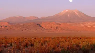 Les nouveaux paradis Le Chili, les voix du désert