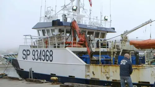 Les nouveaux pêcheurs