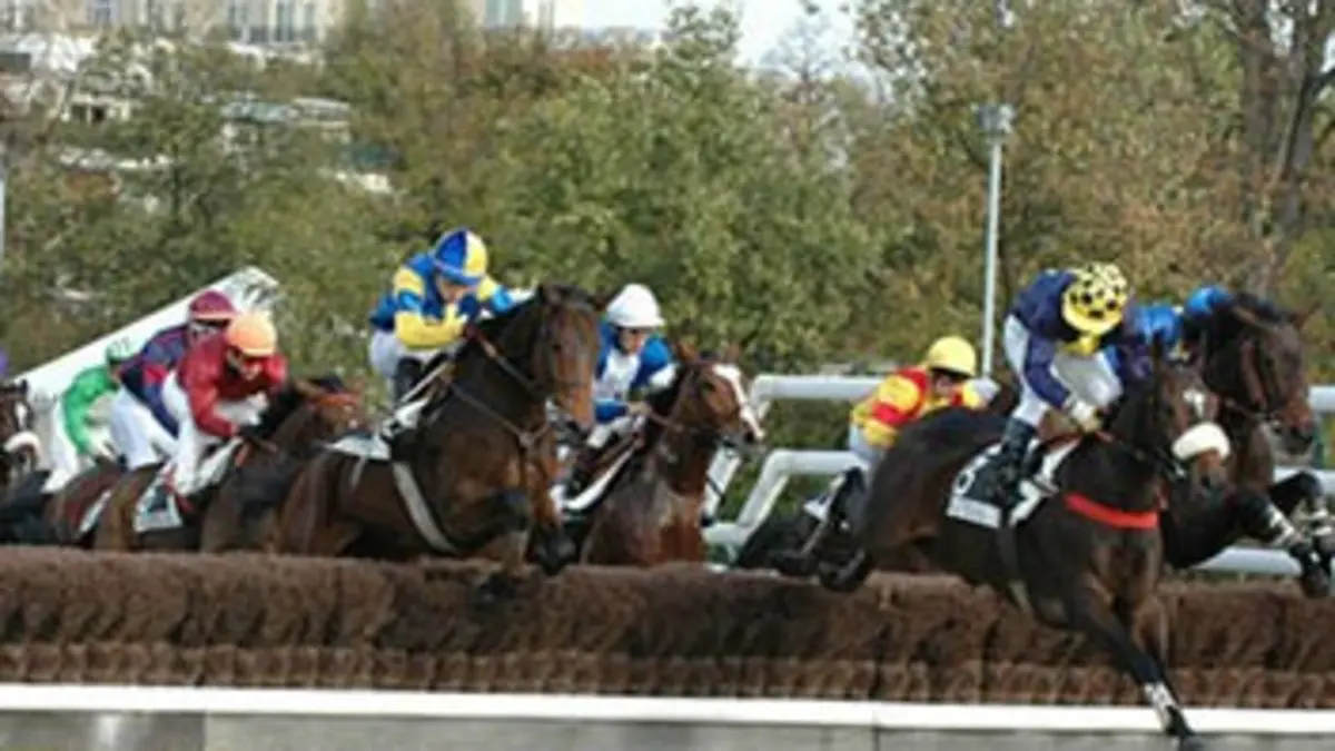 Les nouveaux rois du steeple