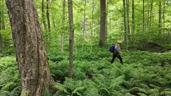 Les nouveaux sanctuaires de la nature