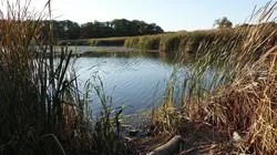 Les nouveaux sanctuaires de la nature