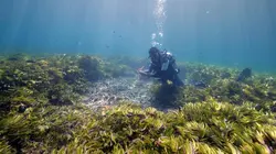 Les nouveaux sanctuaires de la nature