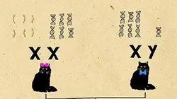 Visuel de Les nouveaux secrets de notre hérédité