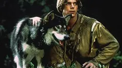 Les nouvelles aventures de Croc-Blanc, le mythe du loup