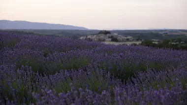 En Provence
