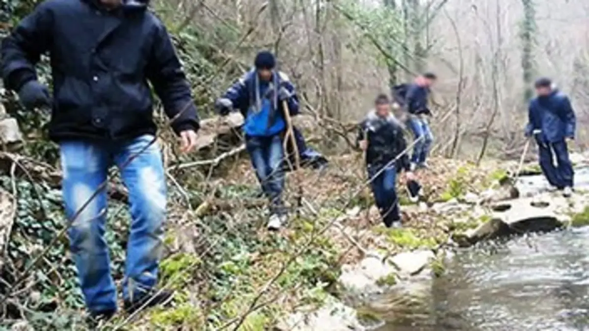 Les nouvelles migrations