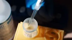 Les nouvelles sciences du crime S01E01 La mariée assassinée