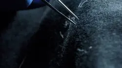 Les nouvelles sciences du crime