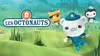 Les octonauts et la tortue caouanne