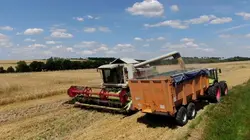 Les ogres de la terre