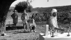 Les Oliviers de la justice