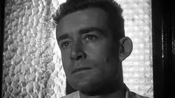 Les Oliviers de la justice