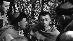 Les onze fioretti de François d'Assise