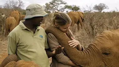 Les géants de Tsavo