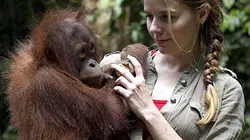 Visuel de Les orphelins du paradis