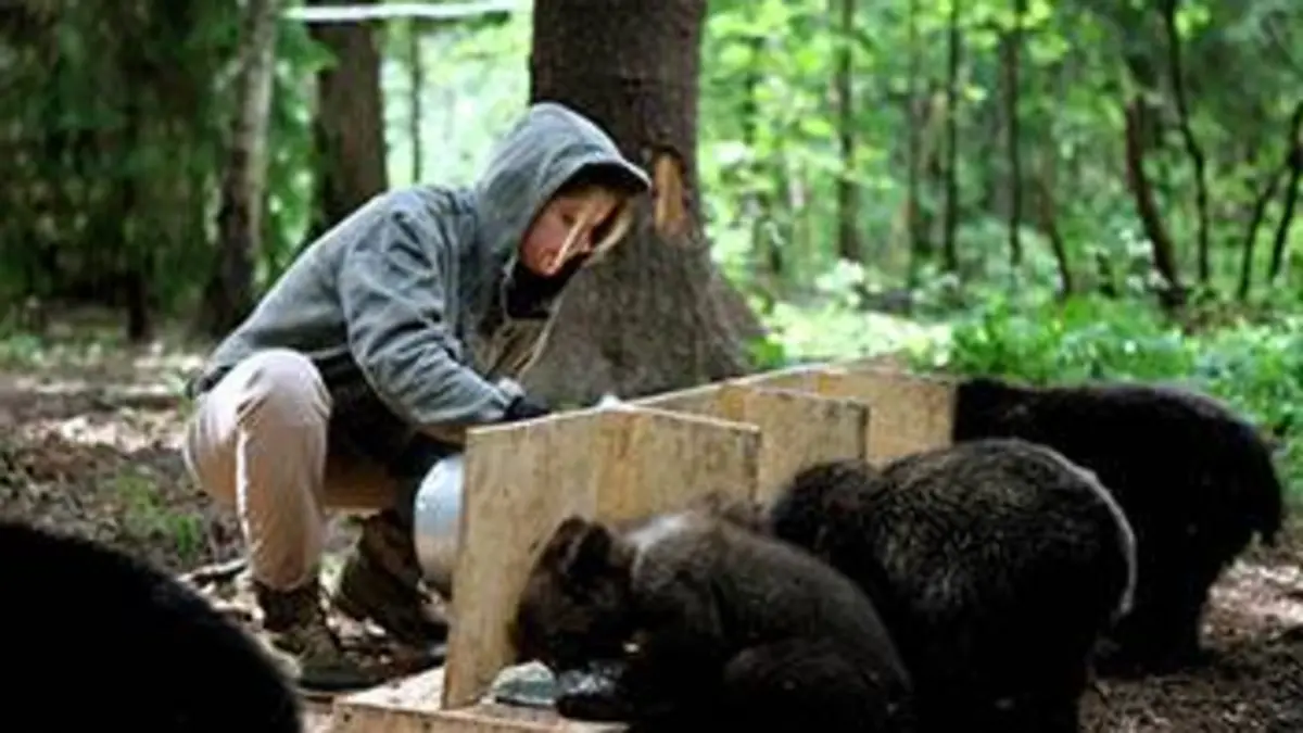 Les orphelins du paradis