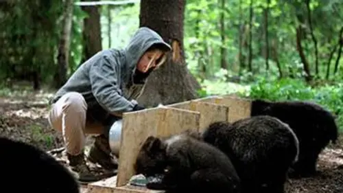 Les orphelins du paradis