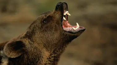 Le chemin vers la liberté