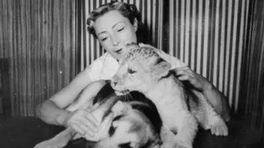 Jeannette MacDonald, une lionne parmi les lions