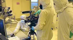 Les papillons, une mine d'inspiration