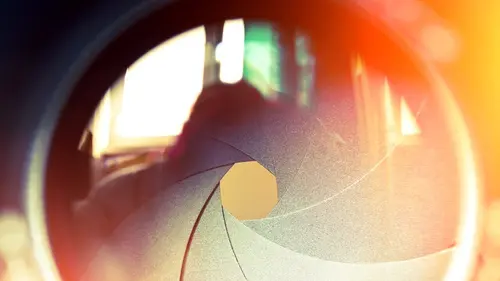 Les paradis perdus de l'Atlantique sud