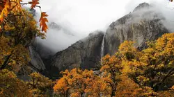 Les parcs nationaux américains