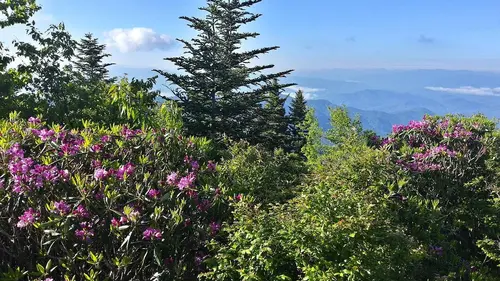 Les parcs nationaux américains E04 Great Smoky Mountains