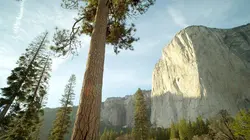 Les parcs nationaux américains