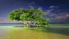 Les parcs nationaux américains S01E01 Everglades