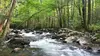 Les parcs nationaux américains E05 Great Smoky Mountains