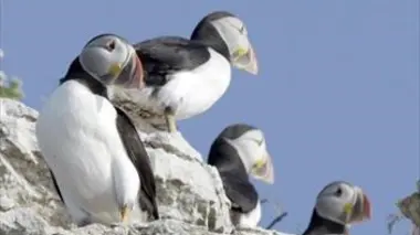 L'archipel de Mingan : le joyau caché