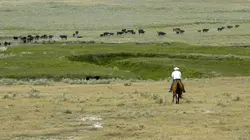 Les parcs nationaux canadiens