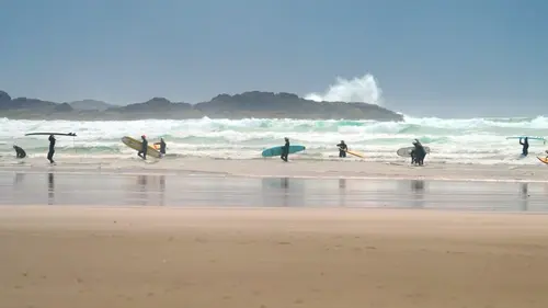 Les parcs nationaux canadiens Pacific Rim