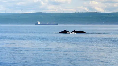 Les parcs nationaux canadiens Saguenay-Saint-Laurent
