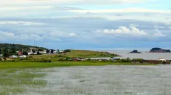 Les parcs nationaux canadiens Pacific Rim